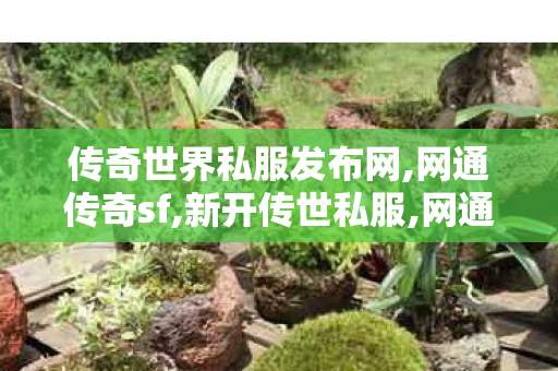 传奇世界私服发布网,网通传奇sf,新开传世私服,网通传奇sf