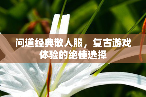 问道经典散人服，复古游戏体验的绝佳选择
