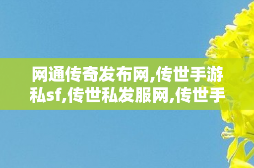 网通传奇发布网,传世手游私sf,传世私发服网,传世手游私sf