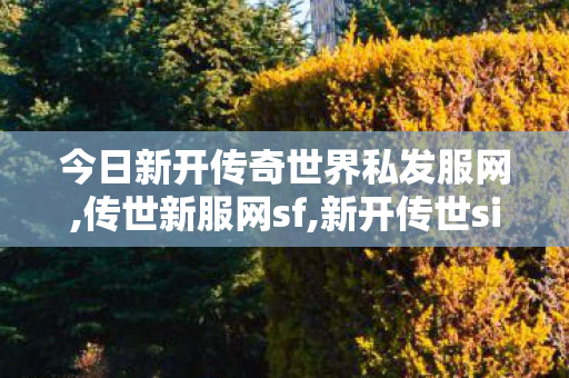 今日新开传奇世界私发服网,传世新服网sf,新开传世sif,传世新服网sf