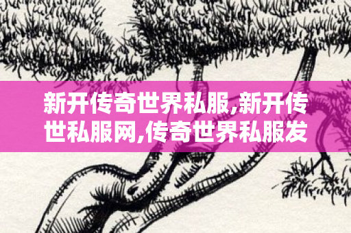 新开传奇世界私服,新开传世私服网,传奇世界私服发布站,新开传世私服网