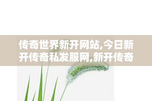 传奇世界新开网站,今日新开传奇私发服网,新开传奇世界私服刚开一秒,今日新开传奇私发服网