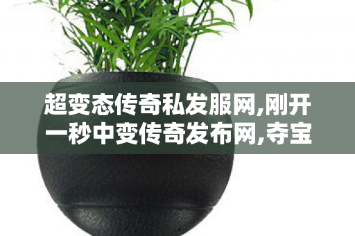 超变态传奇私发服网,刚开一秒中变传奇发布网,夺宝传世私服发布网,刚开一秒中变传奇发布网