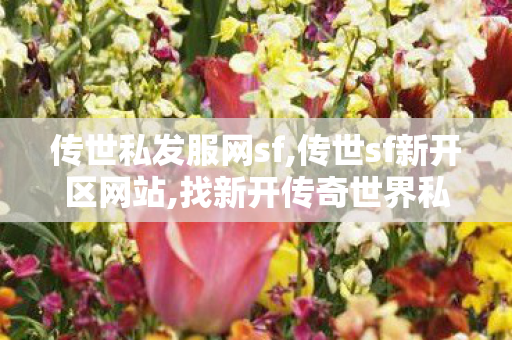 传世私发服网sf,传世sf新开区网站,找新开传奇世界私服,传世sf新开区网站