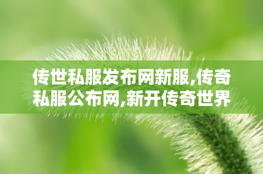 传世私服发布网新服,传奇私服公布网,新开传奇世界sf,传奇私服公布网