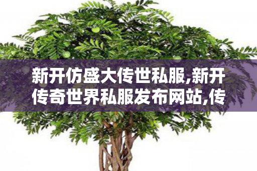 新开仿盛大传世私服,新开传奇世界私服发布网站,传世私服版本库,新开传奇世界私服发布网站