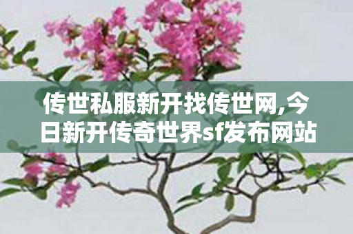 传世私服新开找传世网,今日新开传奇世界sf发布网站,传世新开网站,今日新开传奇世界sf发布网站