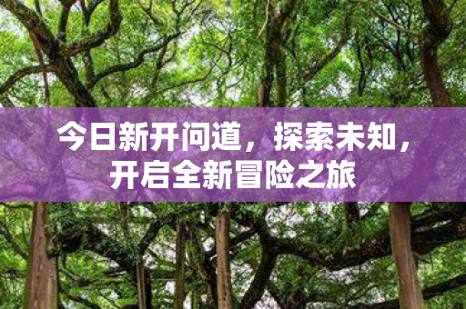今日新开问道，探索未知，开启全新冒险之旅