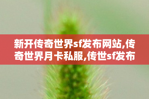 新开传奇世界sf发布网站,传奇世界月卡私服,传世sf发布网新服,传奇世界月卡私服