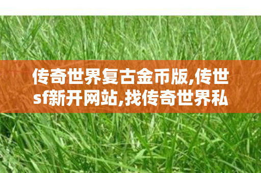 传奇世界复古金币版,传世sf新开网站,找传奇世界私服,传世sf新开网站