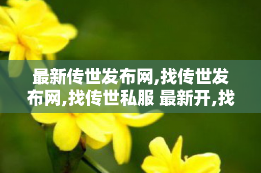 最新传世发布网,找传世发布网,找传世私服 最新开,找传世发布网