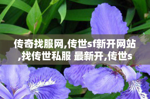传奇找服网,传世sf新开网站,找传世私服 最新开,传世sf新开网站