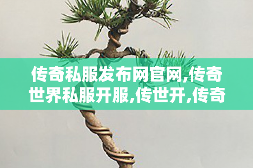 传奇私服发布网官网,传奇世界私服开服,传世开,传奇世界私服开服