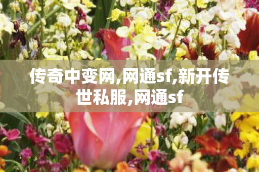 传奇中变网,网通sf,新开传世私服,网通sf