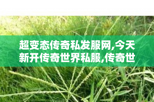 超变态传奇私发服网,今天新开传奇世界私服,传奇世界中变发布网,今天新开传奇世界私服