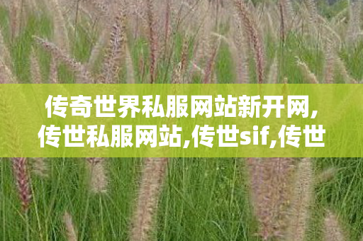 传奇世界私服网站新开网,传世私服网站,传世sif,传世私服网站