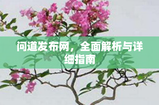 问道发布网，全面解析与详细指南