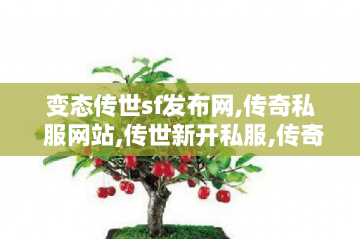 变态传世sf发布网,传奇私 服网站,传世新开私服,传奇私 服网站