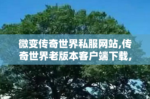 微变传奇世界私服网站,传奇世界老版本客户端下载,传奇世界私服发布网大全,传奇世界老版本客户端下载