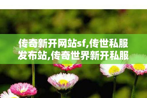 传奇新开网站sf,传世私服发布站,传奇世界新开私服,传世私服发布站