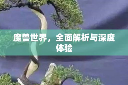 魔兽世界，全面解析与深度体验