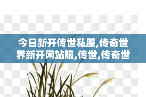 今日新开传世私服,传奇世界新开网站服,传世,传奇世界新开网站服