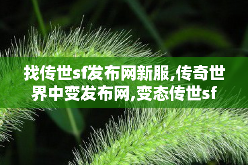 找传世sf发布网新服,传奇世界中变发布网,变态传世sf发布网新服,传奇世界中变发布网