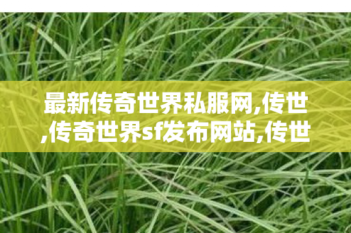 最新传奇世界私服网,传世,传奇世界sf发布网站,传世
