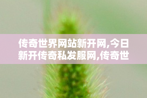 传奇世界网站新开网,今日新开传奇私发服网,传奇世界私服版本下载,今日新开传奇私发服网