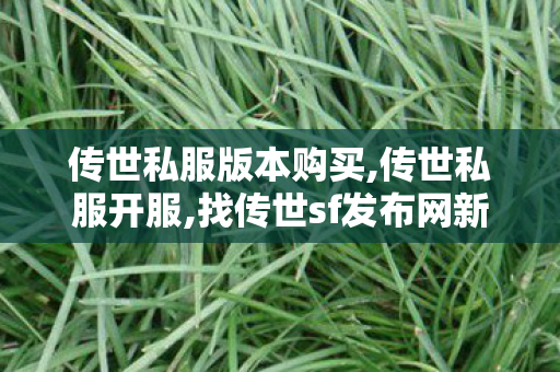 传世私服版本购买,传世私服开服,找传世sf发布网新服,传世私服开服