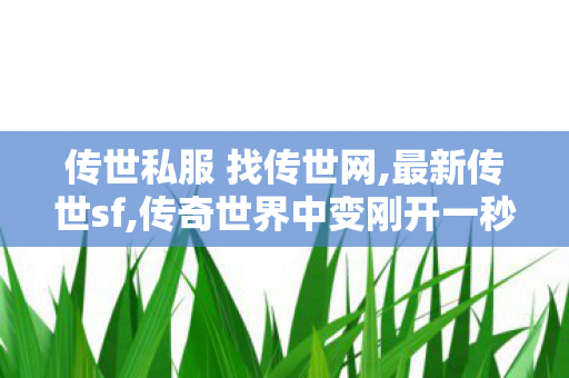 传世私服 找传世网,最新传世sf,传奇世界中变刚开一秒,最新传世sf