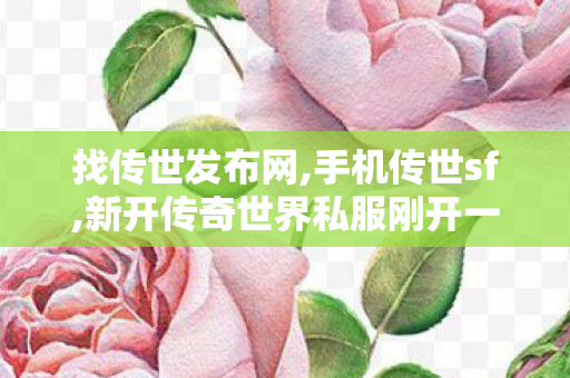 找传世发布网,手机传世sf,新开传奇世界私服刚开一秒,手机传世sf