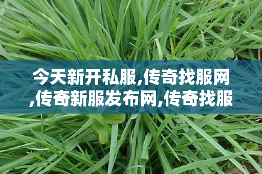 今天新开私服,传奇找服网,传奇新服发布网,传奇找服网