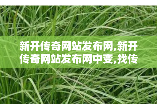 新开传奇网站发布网,新开传奇网站发布网中变,找传奇世界私服发布网站,新开传奇网站发布网中变