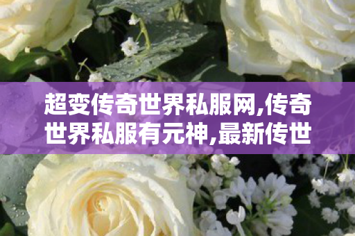超变传奇世界私服网,传奇世界私服有元神,最新传世,传奇世界私服有元神