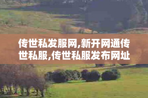 传世私发服网,新开网通传世私服,传世私服发布网址,新开网通传世私服