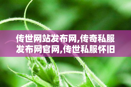 传世网站发布网,传奇私服发布网官网,传世私服怀旧,传奇私服发布网官网