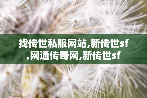 找传世私服网站,新传世sf,网通传奇网,新传世sf