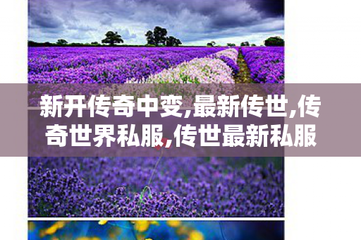 新开传奇中变,最新传世,传奇世界私服,传世最新私服,最新传世