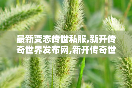 最新变态传世私服,新开传奇世界发布网,新开传奇世界私服游戏发布网,新开传奇世界发布网