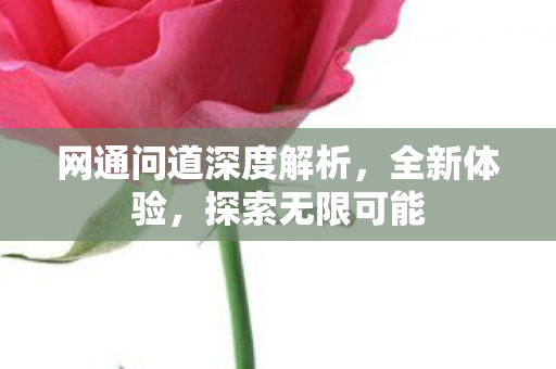 网通问道深度解析，全新体验，探索无限可能