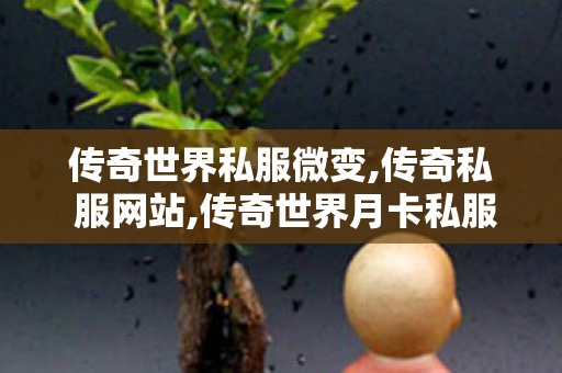传奇世界私服微变,传奇私 服网站,传奇世界月卡私服,传奇私 服网站