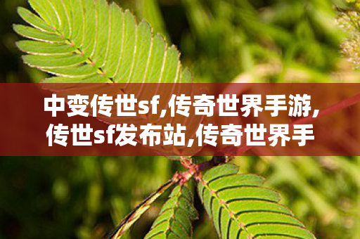 中变传世sf,传奇世界手游,传世sf发布站,传奇世界手游