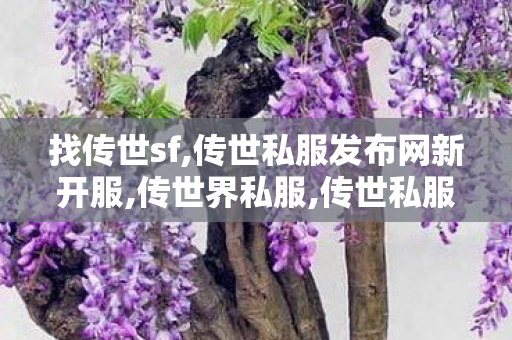 找传世sf,传世私服发布网新开服,传世界私服,传世私服发布网新开服