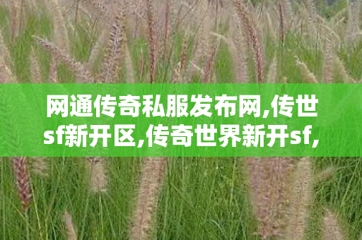 网通传奇私服发布网,传世sf新开区,传奇世界新开sf,传世sf新开区