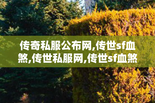 传奇私服公布网,传世sf血煞,传世私服网,传世sf血煞