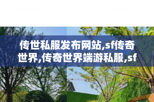 传世私服发布网站,sf传奇世界,传奇世界端游私服,sf传奇世界