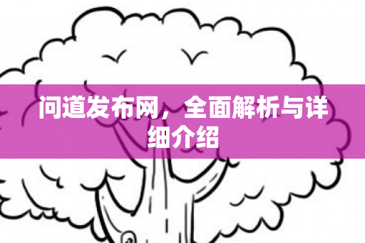 问道发布网，全面解析与详细介绍