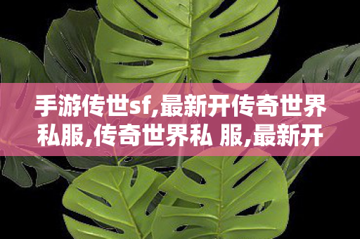 手游传世sf,最新开传奇世界私服,传奇世界私 服,最新开传奇世界私服