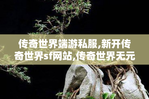 传奇世界端游私服,新开传奇世界sf网站,传奇世界无元神区,新开传奇世界sf网站